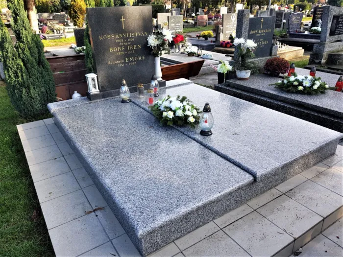 Master file0000068062