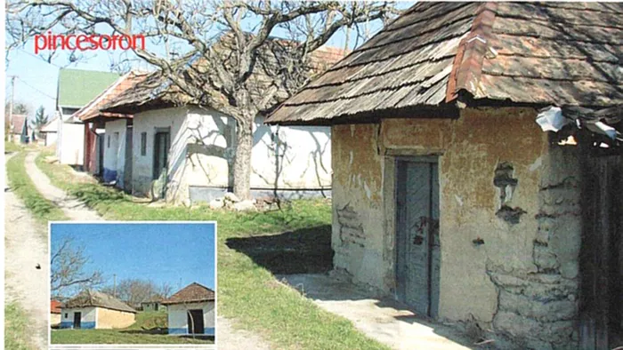 Master file0000039950