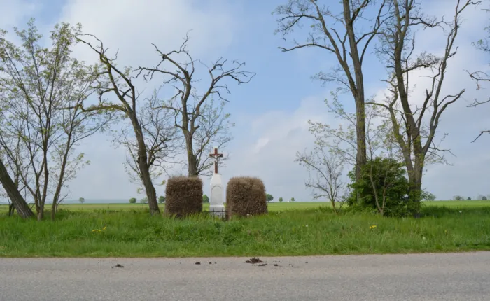 Master file0000068375