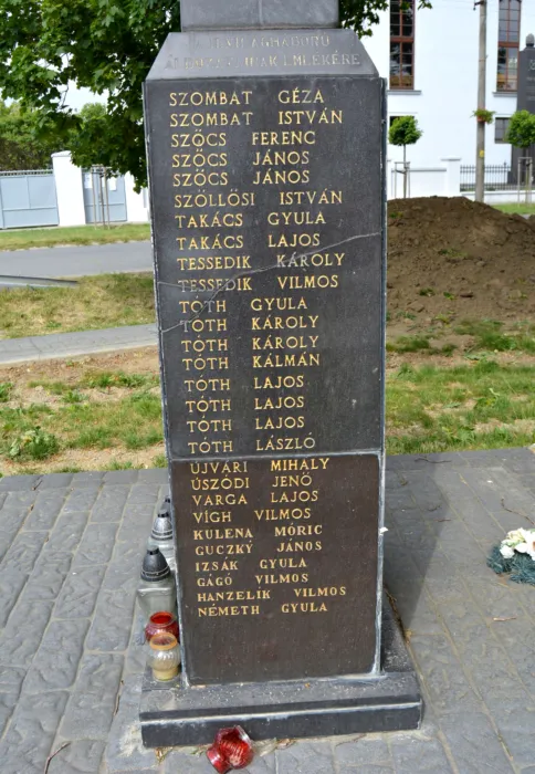 Master file0000076906