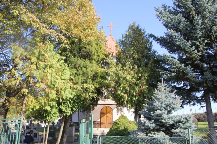 Master file0000071855