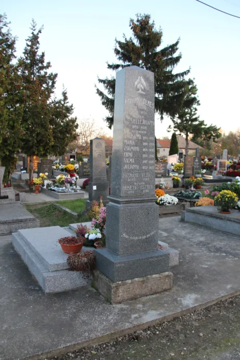 Master file0000061430