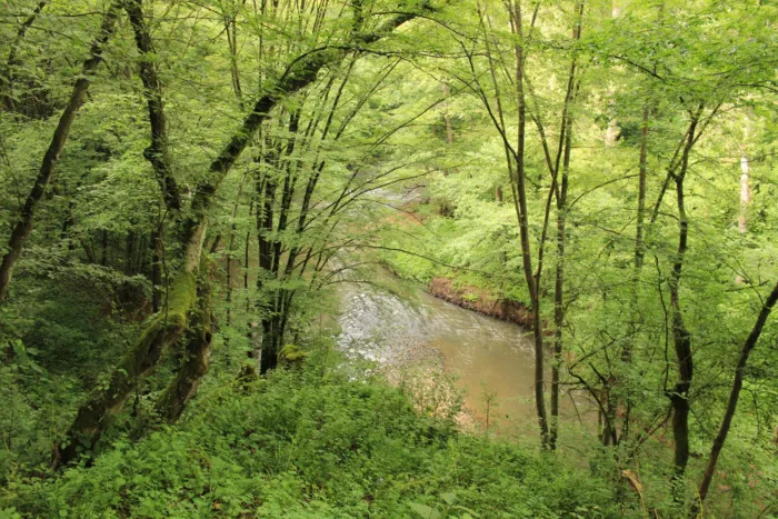 Master file0000039228