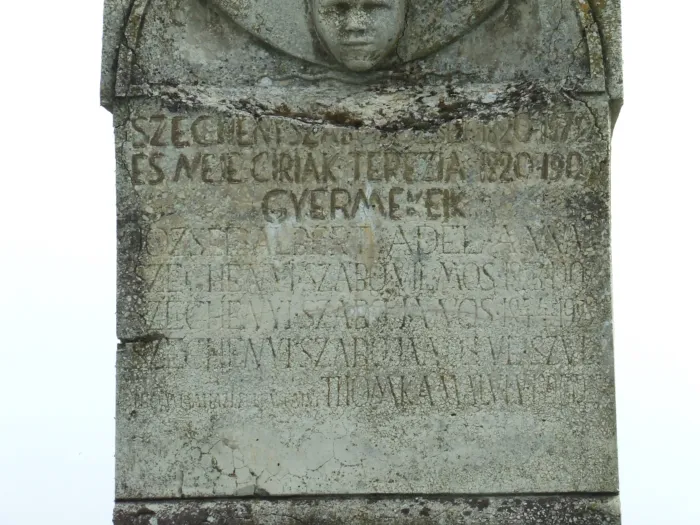 Master file0000059821