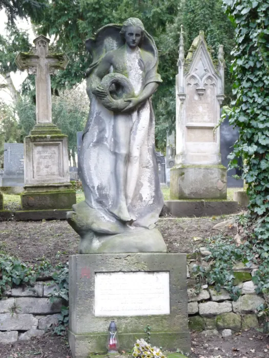 Master file0000069863