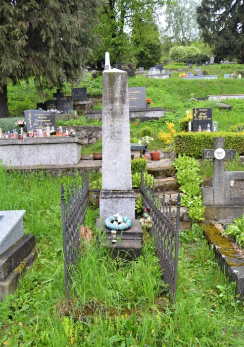 Master file0000078075