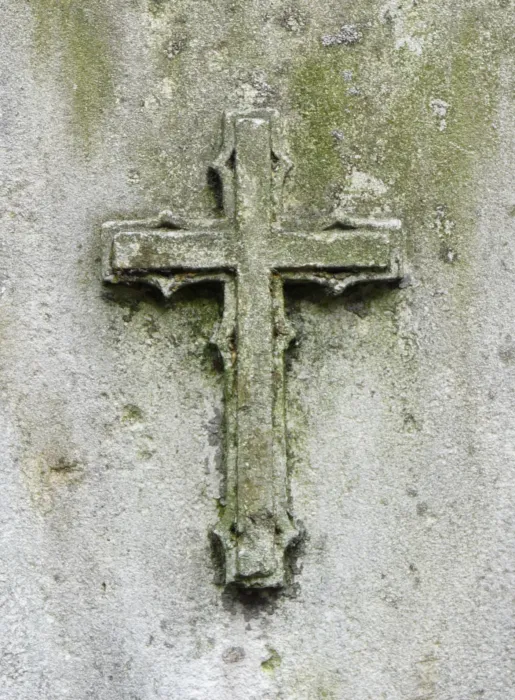 Master file0000074012