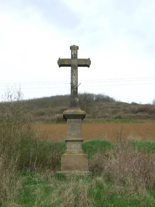 Master file0000073955