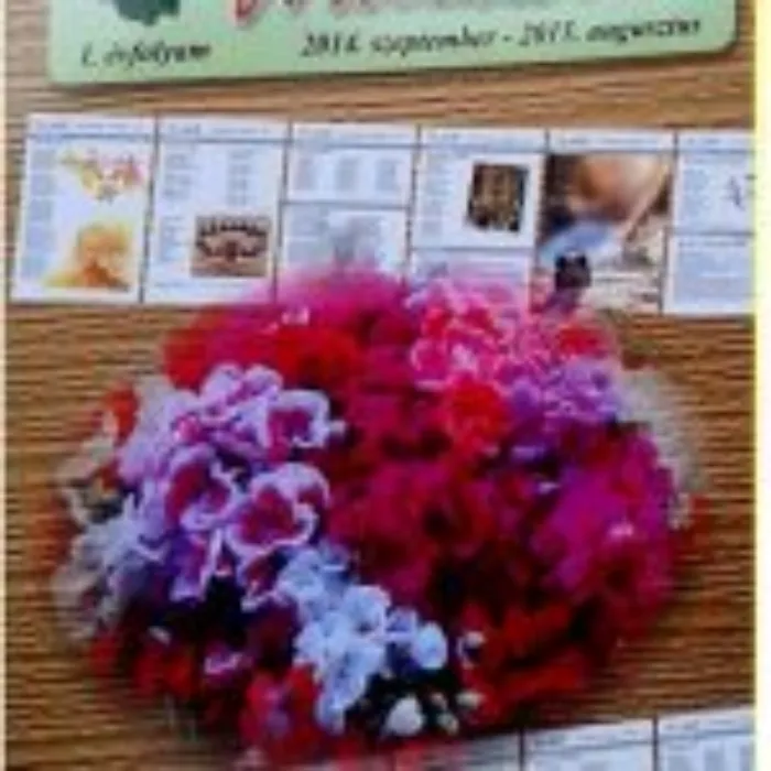 Master file0000039716