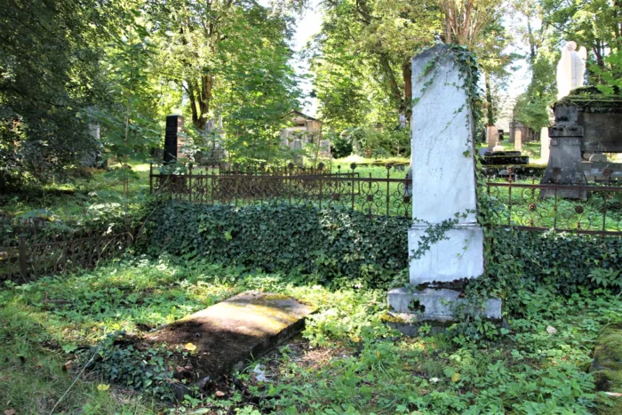 Master file0000073768