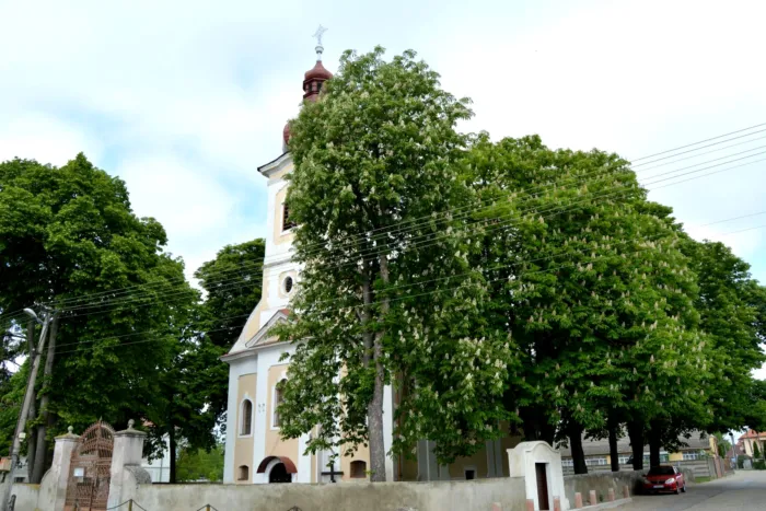 Master file0000064650