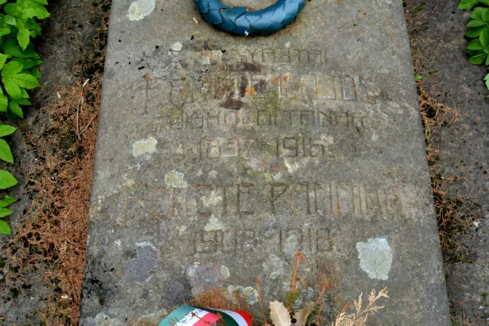 Master file0000076888