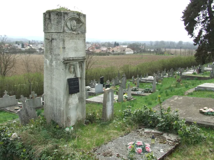 Master file0000062176