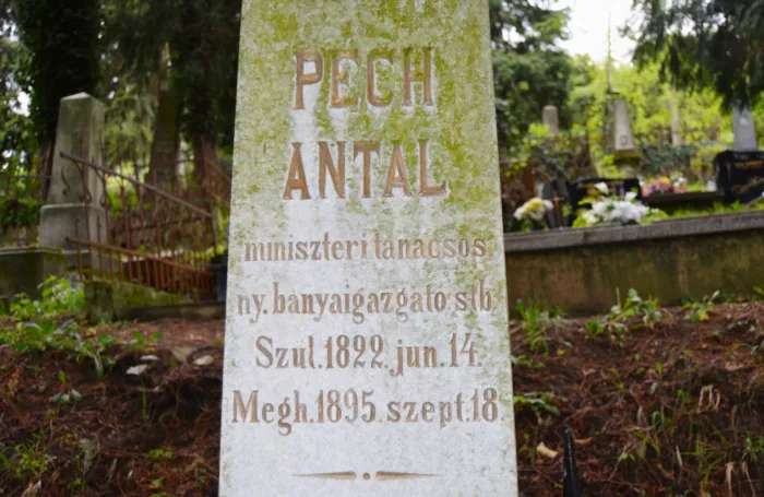 Master file0000063853