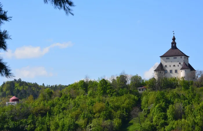 Master file0000063579