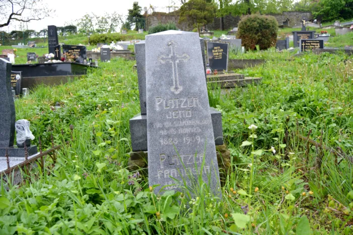 Master file0000066697