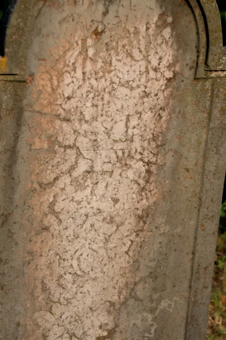 Master file0000071469