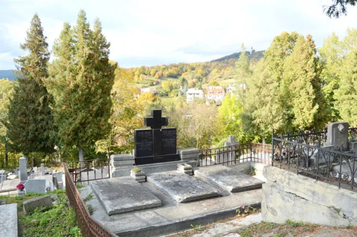 Master file0000066014