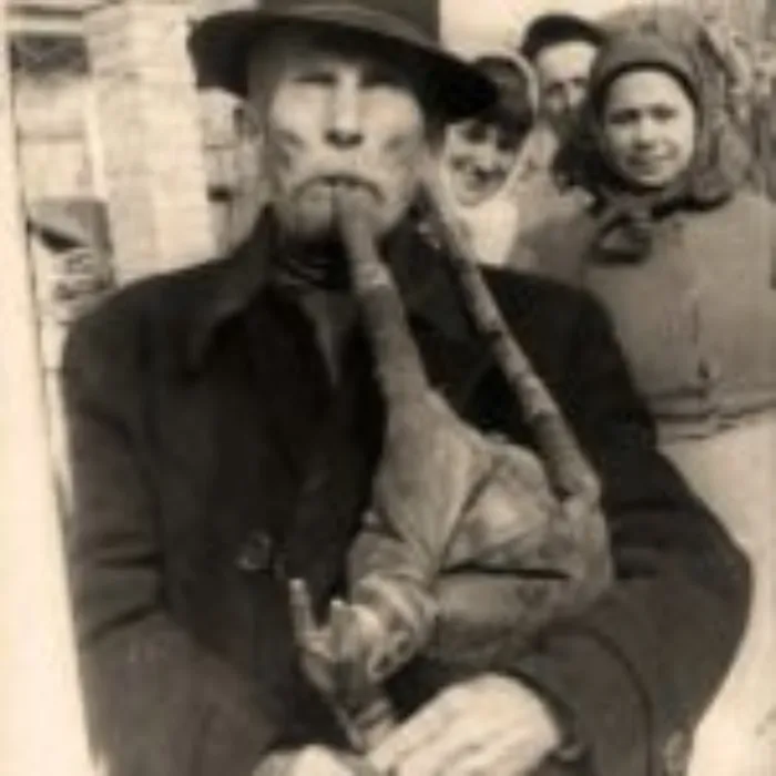 Master file0000039607