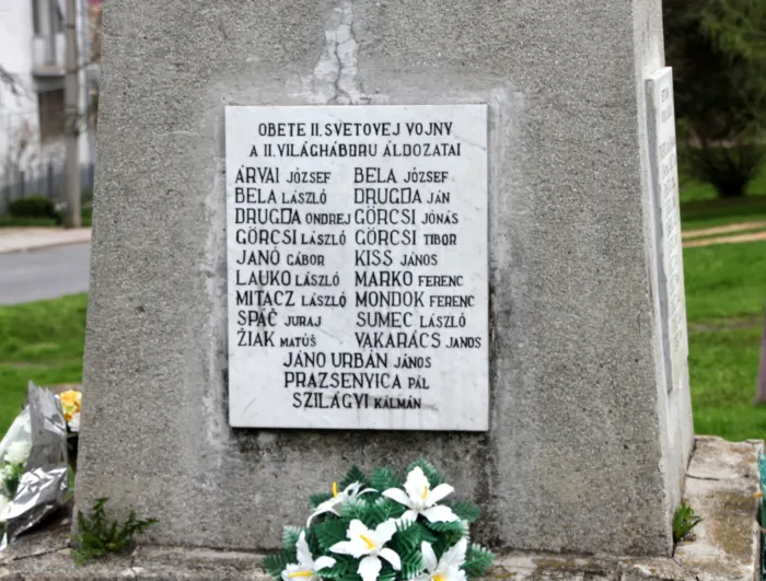 Master file0000067869