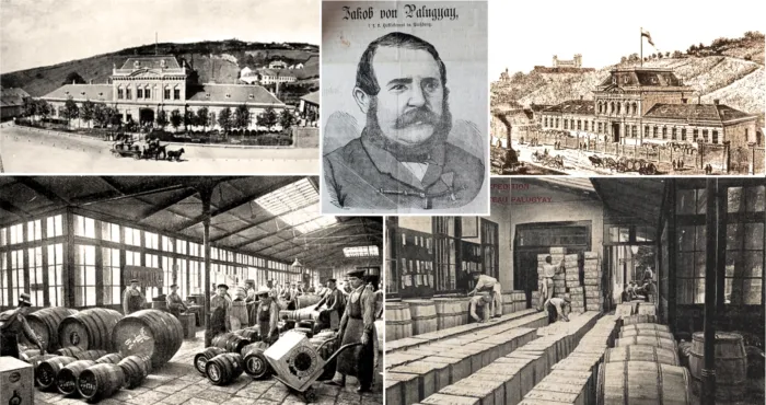 Master file0000062345