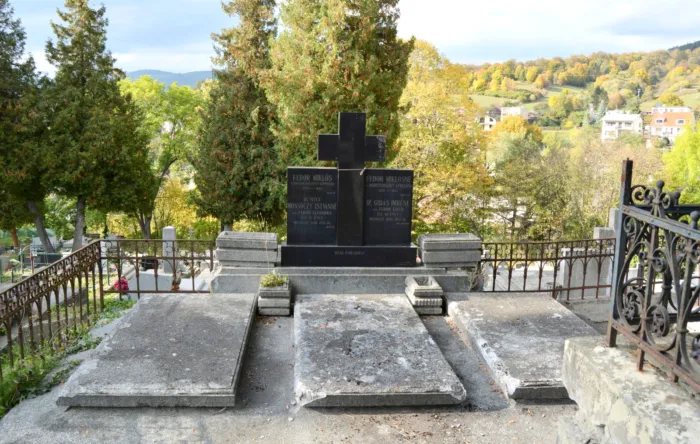 Master file0000069799