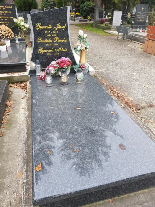 Master file0000069489