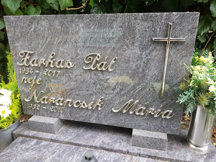 Master file0000072851