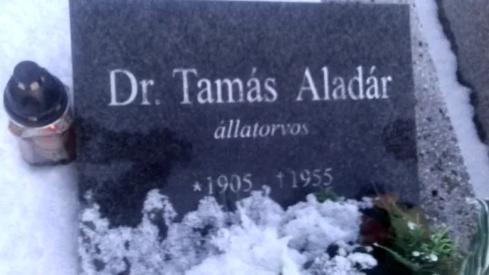 Master file0000075098