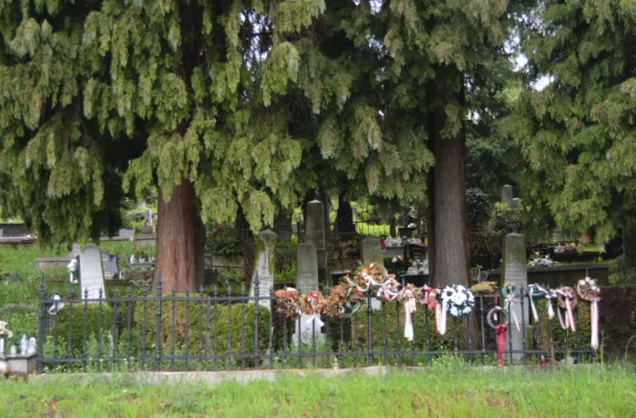 Master file0000063854