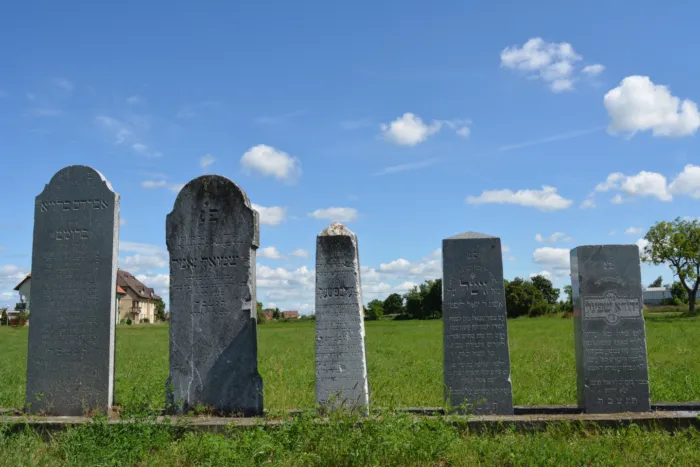 Master file0000065492