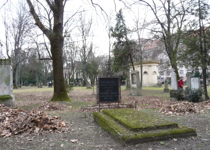 Master file0000079517