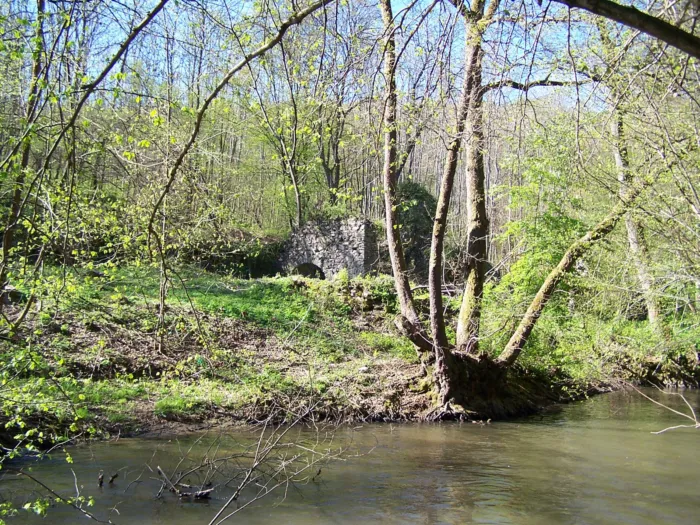 Master file0000038977