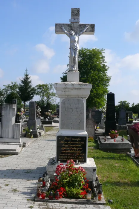 Master file0000070013