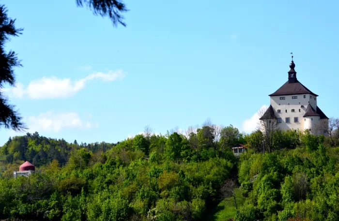 Master file0000069487