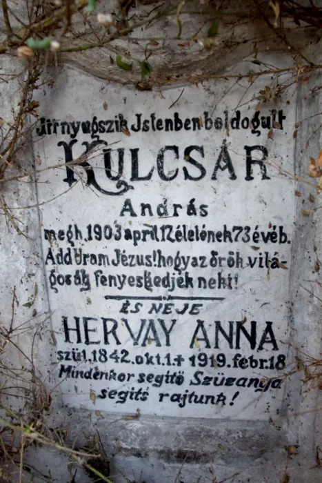 Master file0000076624