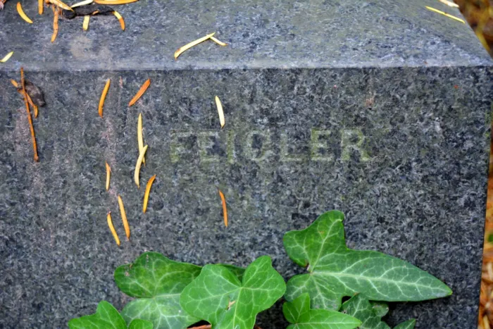 Master file0000069204