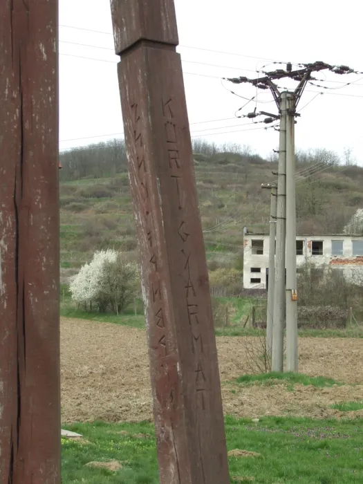 Master file0000072662