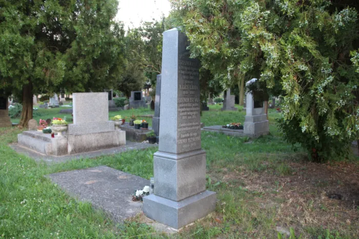 Master file0000074261