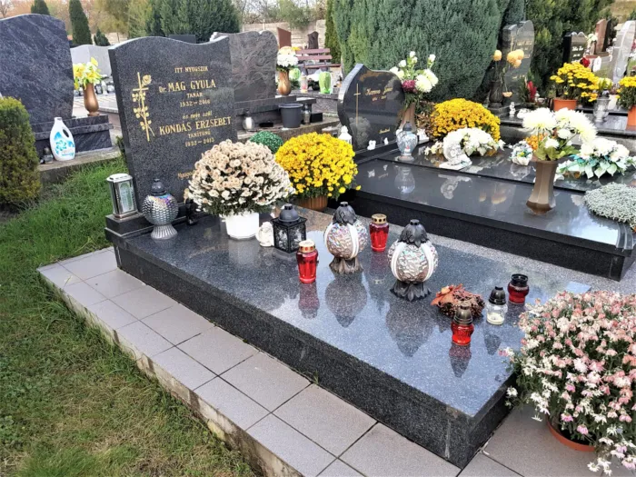 Master file0000069114