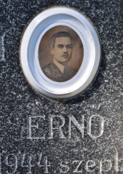Master file0000076623