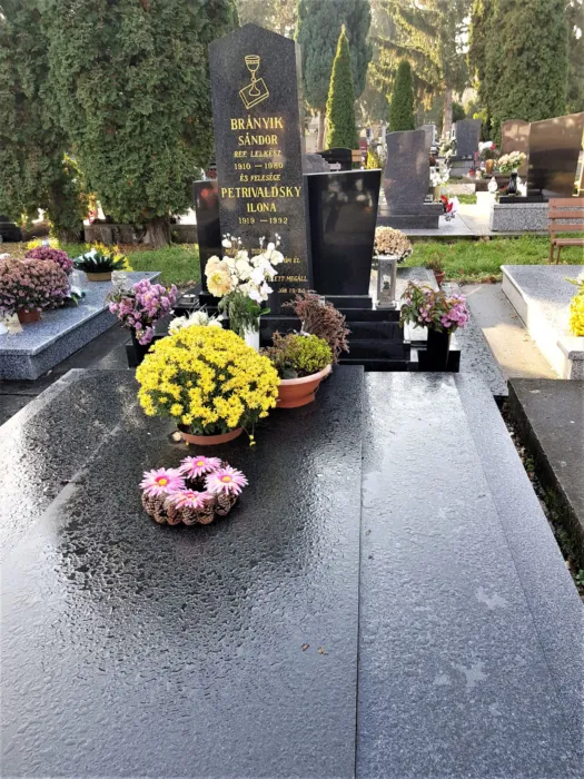 Master file0000075091