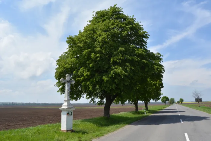 Master file0000066229