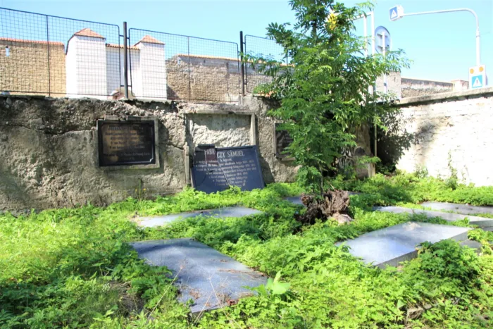 Master file0000063116