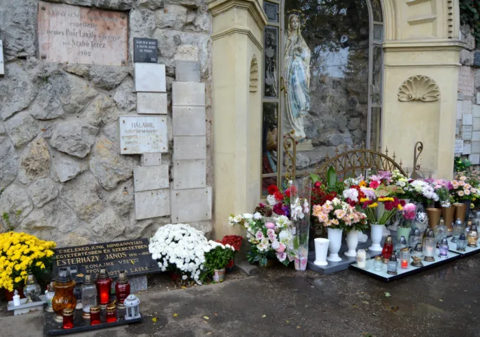 Master file0000072900