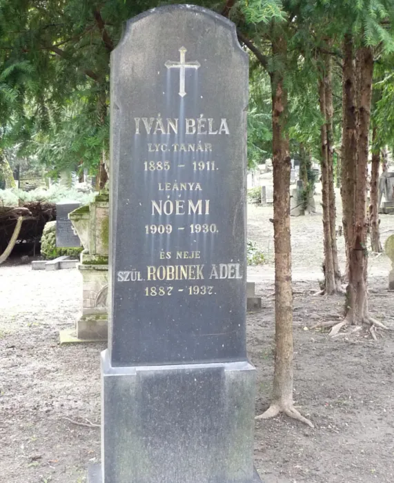 Master file0000073216