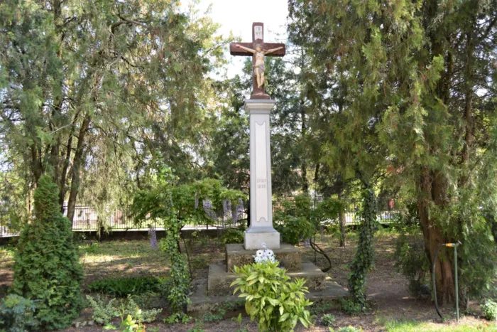 Master file0000071654