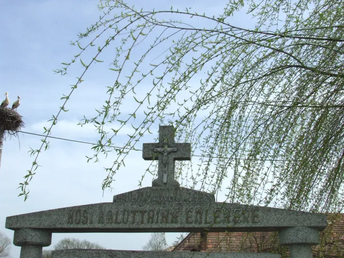 Master file0000068915