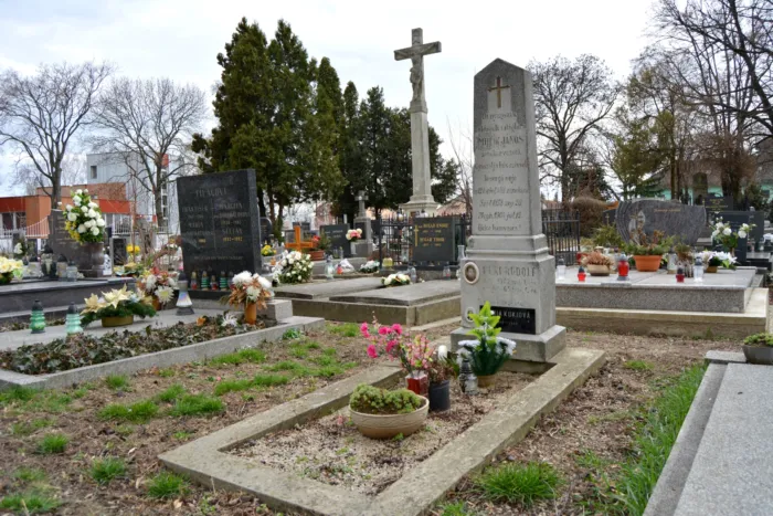 Master file0000065721