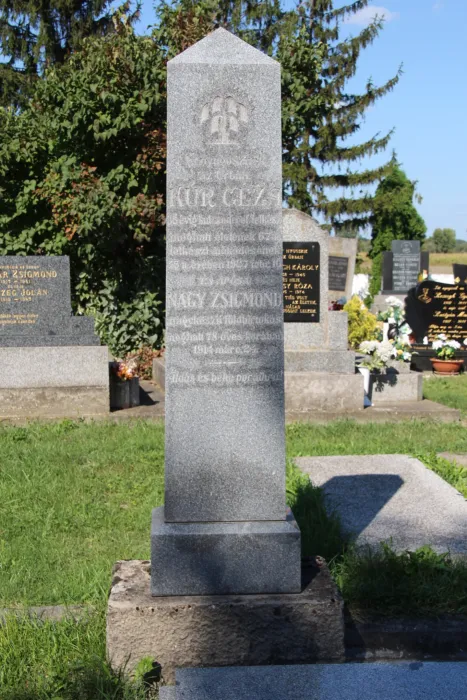 Master file0000079214